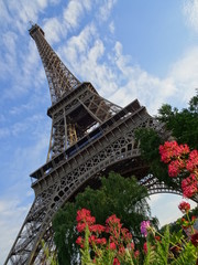Eiffel Tower garden