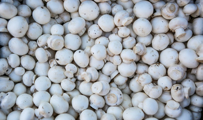 Close up of mushrooms at market. 