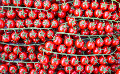 Rows of red cherry tomatoes at the market. 
