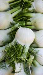 Close up of fennel at market. 