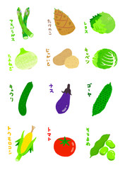 春夏野菜　Spring and summer vegetables