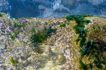 stones with green algae in clear sea water