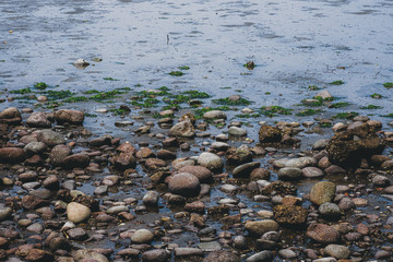 Rocky and sandy beach side	
