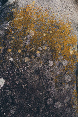 Texture file that can also be used for compositing	