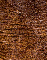 Old vintage genuine soft brown leather texture background, top layer with pores and scratches,...