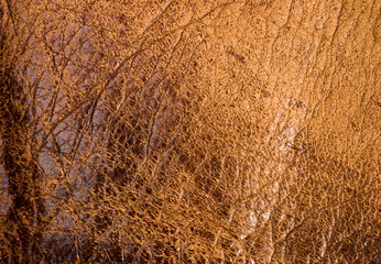 Old vintage genuine soft brown leather texture background, top layer with pores and scratches, macro, close-up