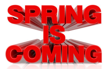 SPRING IS COMING word on white background 3d rendering