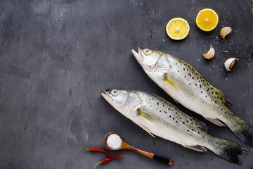 Fresh raw fish with spices, lemon, salt on dark stone background. Creative layout made of fish, top view with copy space, flat lay, mockup, overhead. Healthy food concept