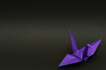 purple origami paper crane on black background