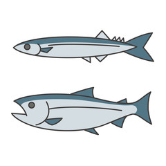 Obraz premium 秋刀魚と鮭