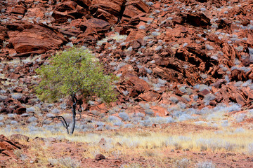 Rocks in the desert at Twyfelfontein world heritage rock engravings site in Damaraland Namibia....