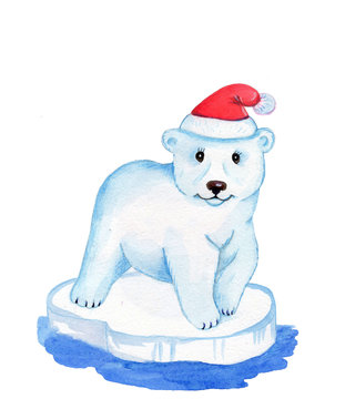 Cute cartoon watecolor polar bear, white in red cap.