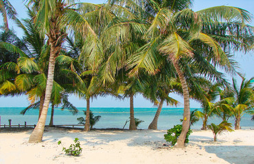 Belize, Caye Caulker Village – scenic beaches and ocean coastline