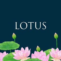 Watercolor lotus background