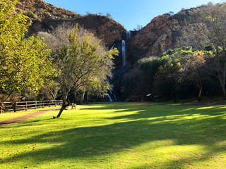 grass on a sunny day