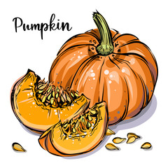 Pumpkin vector illustration - 275574157