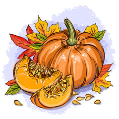 Pumpkin vector illustration - 275574735