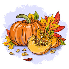 Pumpkin vector illustration - 275574753
