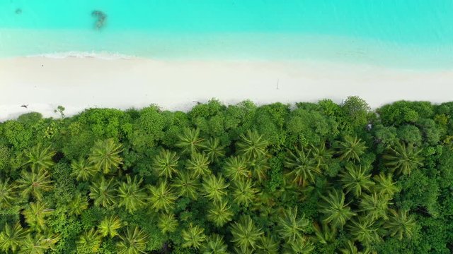 Fly over an exotic island. Looking down on palm trees a beach and turquoise water. Truck left. Barbados