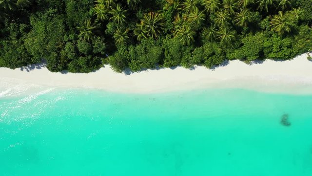 Fly over an exotic island in Barbados. Looking down on the white beach, forest and the turquoise blue sea. Truck left