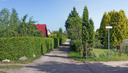 Fototapeta premium Perspective view of road and green hedges in the standard poor European village