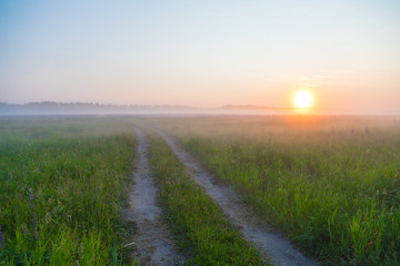 sunrise in the field