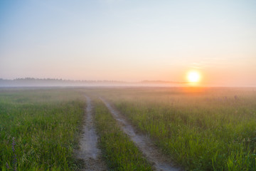 sunrise in the field