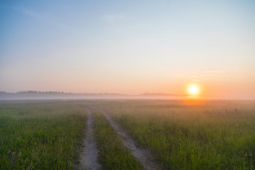 Obraz premium sunrise in the field