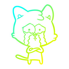 cold gradient line drawing cartoon crying cat