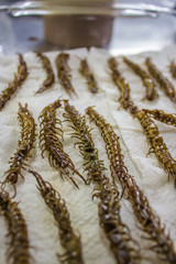 Cienpies en el mercado 