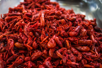 Insectos comida exotica en ciudad de mexico