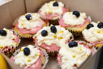 beautiful cupcakes with butter cream