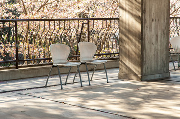 Fototapeta na wymiar 桜と椅子と太陽の光