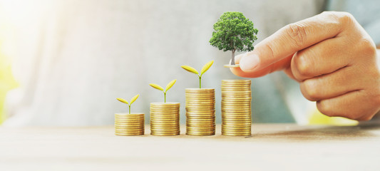 businessman putting money stack with tree growing on table concept saving finance and accounting