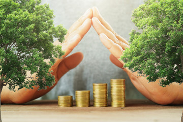 businessman protection money on table with tree. concept saving