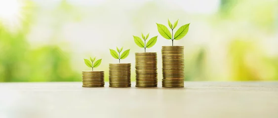 Fotobehang money stack with plant growing. finance and accounting concept © lovelyday12