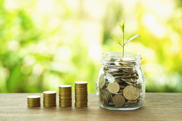 finance and accounting concept money stack with plant grow on jug glass and coins