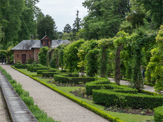 roseraie dans le parc de Bagatelle à Paris