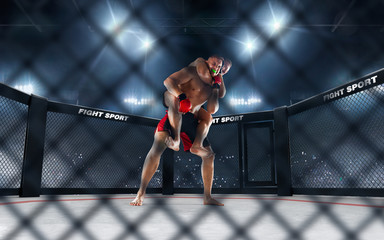 MMA fighters on ring. Fighting Championship.