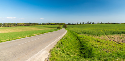 Fototapeta na wymiar springtime rural landscape with road, fields, meadows, small hills covered by trees and blue sky