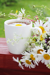 Fototapeta na wymiar A cup with floral natural chamomile tea
