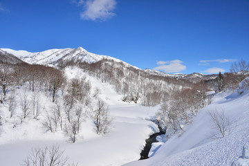 Fototapeta na wymiar 新雪輝く魚沼の山