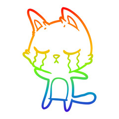 Obraz premium rainbow gradient line drawing crying cartoon cat