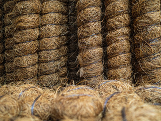 Sticks to support plants. Coconut support to support the trunks of young trees