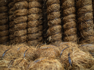 Sticks to support plants. Coconut support to support the trunks of young trees