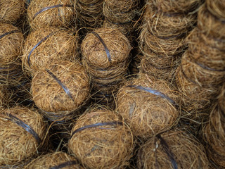 Sticks to support plants. Coconut support to support the trunks of young trees