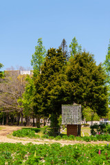 緑が美しいレトロな風景