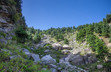 Rocks trees and hiking mountain