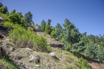 Rocks trees and hiking mountain
