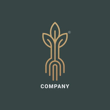 Abstract Sprout With Roots Logo Icon Vector Design. Elegant Plant Premium Symbol.